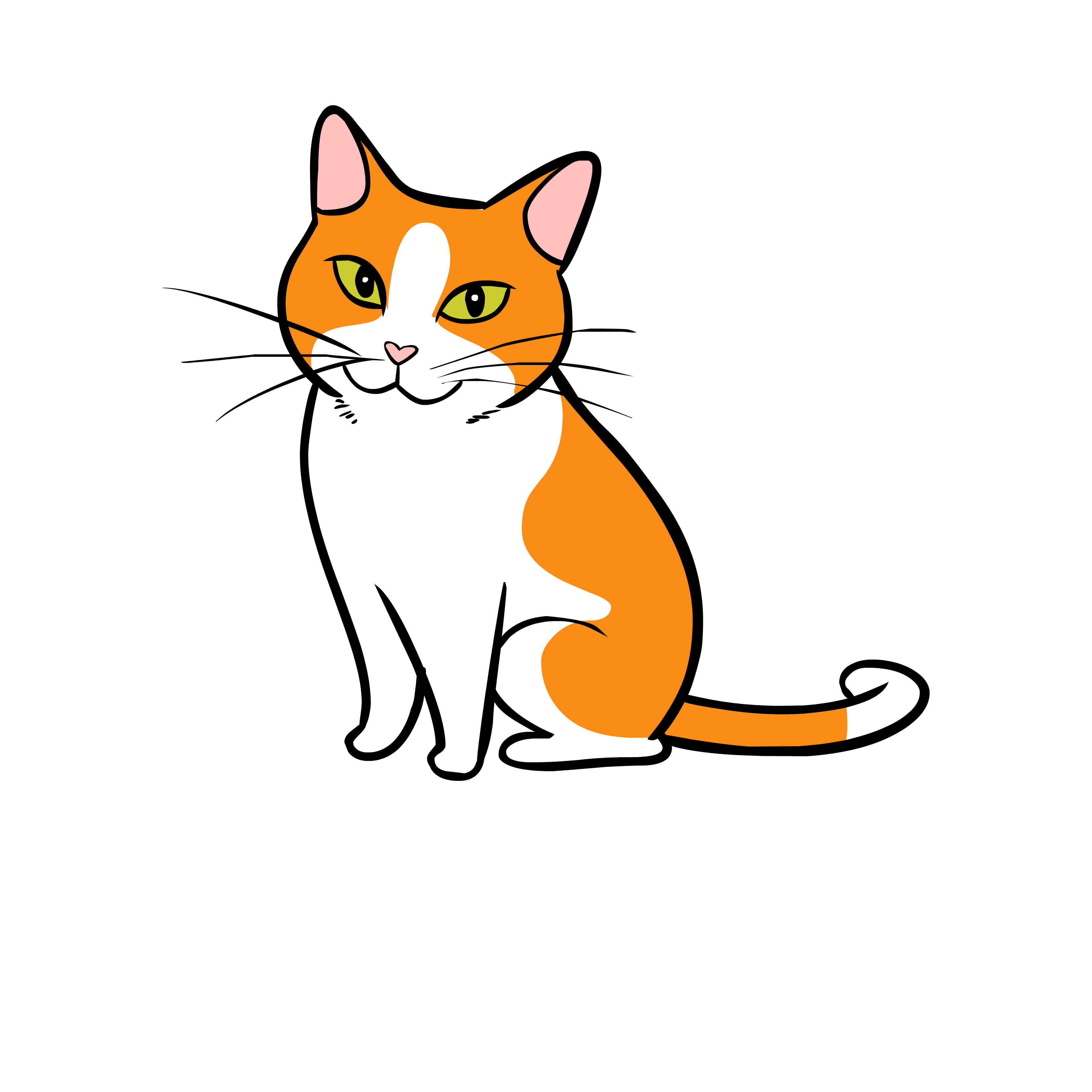 Cat body language - NextGen - rspca.org.uk