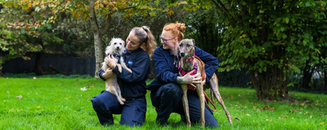Animal rescuer Q&A - NextGen - rspca.org.uk