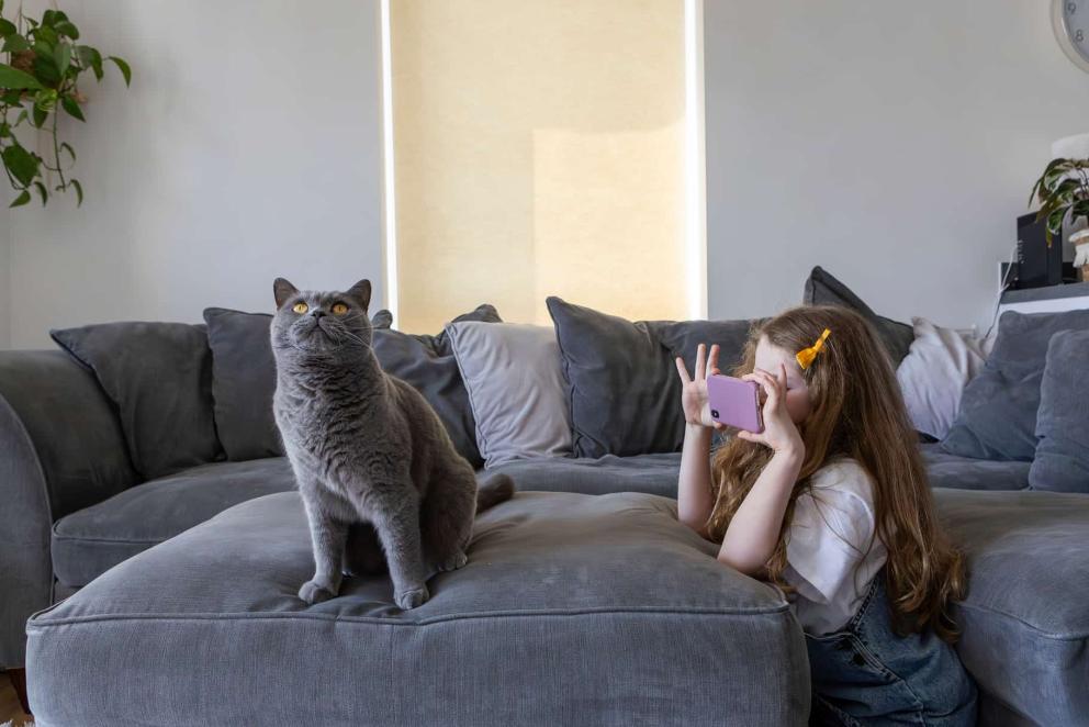 An image of a small female girl taking a picture of a grey cat on her mobile phone.