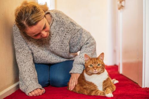 A photograph of a small ginger cat and Danni, an RSPCA rescuer.