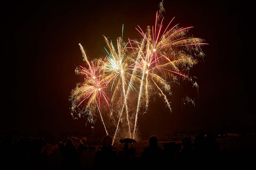 A public firework display at night with colourful sparkles.
