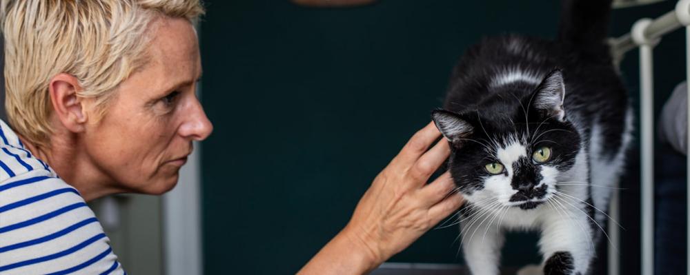 A photo of a cat being photographed at home by a child.